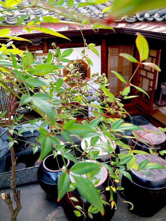 Vine Hanok Guesthouse سيول المظهر الخارجي الصورة