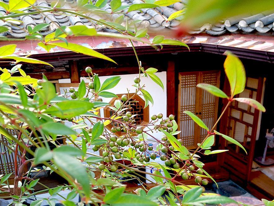 Vine Hanok Guesthouse سيول المظهر الخارجي الصورة